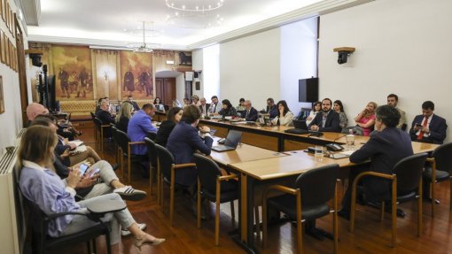 Caso gémeas: CPI aceita documentação do PSD sobre seguradora e adia queixa contra mãe