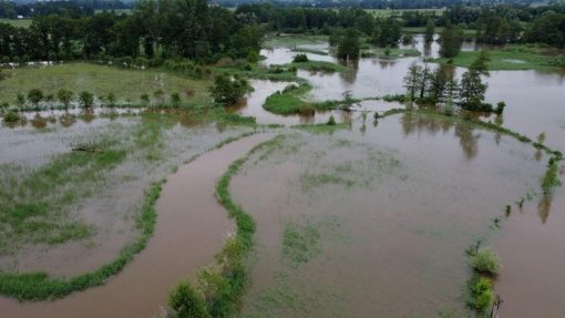 Alterações climáticas podem matar até 14,5 milhões até 2050 - estudo