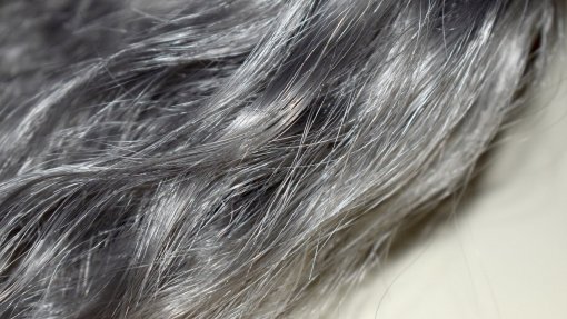 Produtos para cabelo parecidos com saquetas de fruta retirados do mercado