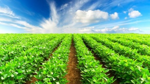 Pacto Climático Europeu quer agricultura e alimentação no planeamento do território