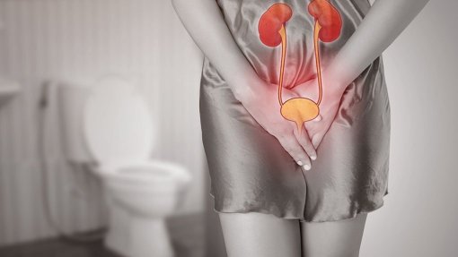 Estudos da Universidade de Aveiro validam terapia fágica em infeções urinárias