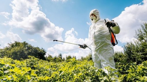 Estudo revela que herbicida glifosato pode causar danos duradouros no cérebro