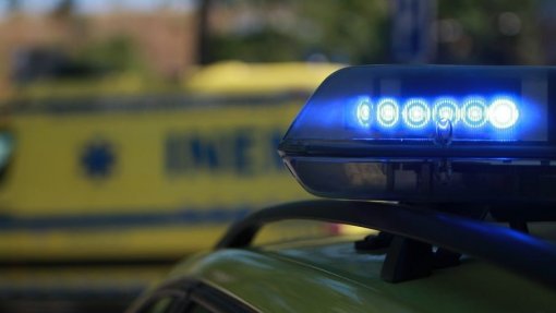 Homem ferido com gravidade em Gaia após árvore cair em cima