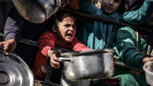 Médio Oriente: Coluna da ONU entrega alimentos para 200 mil pessoas no centro e sul de Gaza