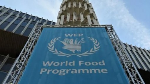 Síria: Programa Alimentar Mundial pede 250 milhões em ajuda internacional