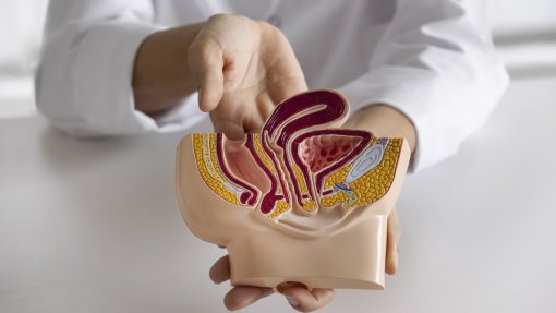 UA desenvolve metodologia eficaz e menos invasiva para detetar cancro da próstata