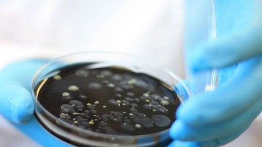 Bactéria &#039;legionella&#039; encerra temporariamente piscina em Campo Maior