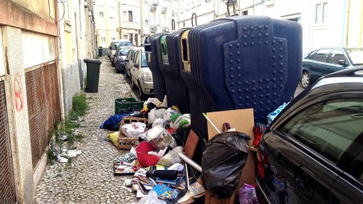 Associação ambientalista Zero propõe alternativa para um milhão de toneladas de lixo urbano