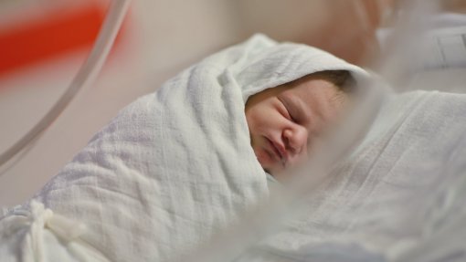 Número de partos no hospital de Leiria diminuiu em 2024