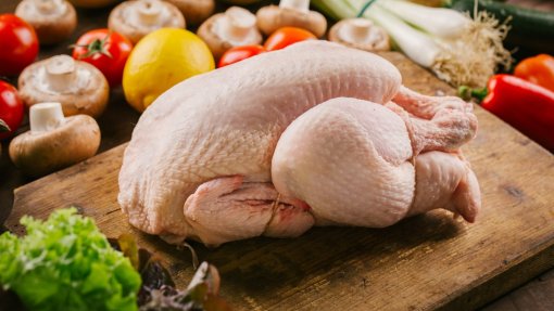 Hong Kong proíbe importação de frango de Lisboa após casos de gripe aviária