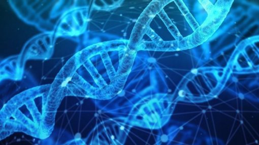 Base de dados &#039;Dominioma Humano&#039; permite saber causa de doenças hereditárias