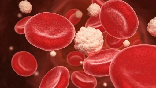 Sistema imunitário também age na regulação do nível de açúcar no sangue - estudo