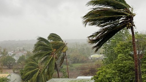 MSF alertam para falta de serviços básicos para vítimas do ciclone Chido em Moçambique