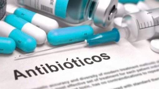 Investigadores estudam alternativa a antibióticos para combater bactérias multirresistentes