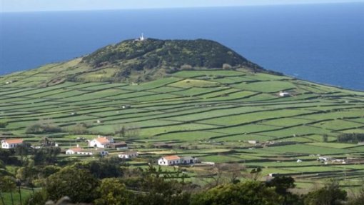 Recolha de dados de estudo sobre cancro nos Açores concluída até junho
