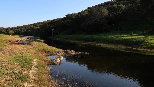 Tribunal anula Declaração de Impacte Ambiental da Barragem do Pisão no Alentejo