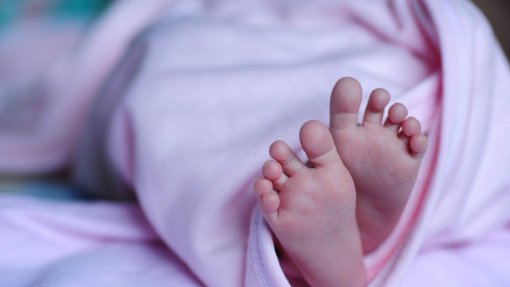 ULS da Arrábida diz que taxa de mortalidade infantil na sua área é inferior à média nacional