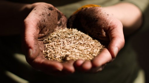 CE propõe tarifas sobre mais produtos agrícolas e fertilizantes russos e bielorrussos