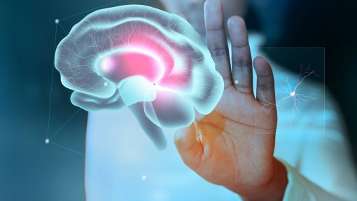 Cientistas treinam IA para prever a atividade celular interna