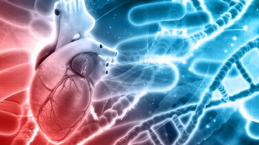 ÉVORA: Hospital realiza procedimento inovador no tratamento cardiovascular
 