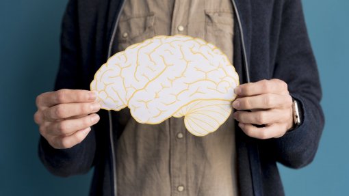 Microplásticos podem acumular-se mais no cérebro do que nos rins ou no fígado