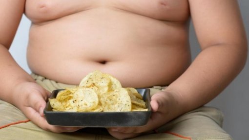 Identificados neurónios responsáveis por dar a ordem para parar de comer - Estudo