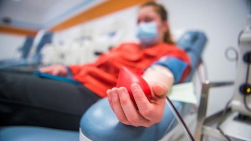 Instituto do Sangue apela para dádiva de sangue após época dos vírus respiratórios
