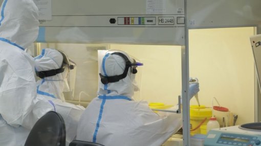 Próxima pandemia será mais complexa, rápida e fraturante - Graça Freitas