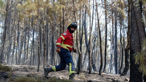 Emergência pré-hospitalar prolongada até abril com mais 50 ambulâncias nos bombeiros