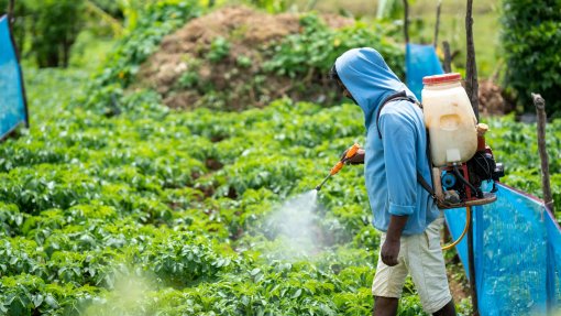 Brasil impulsiona aumento no uso de pesticidas a nível mundial - ONU