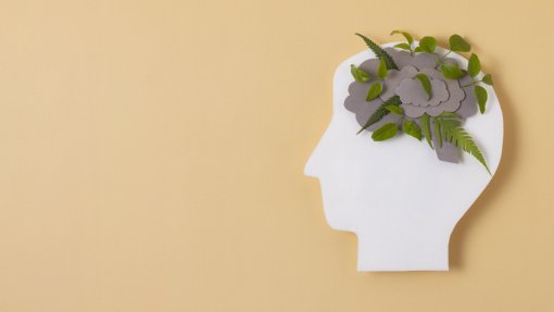 Quase metade dos jovens na Europa sem a necessária resposta de saúde mental