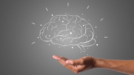 Níveis preocupantes de microplásticos descobertos em tecido cerebral humano, associados à demência