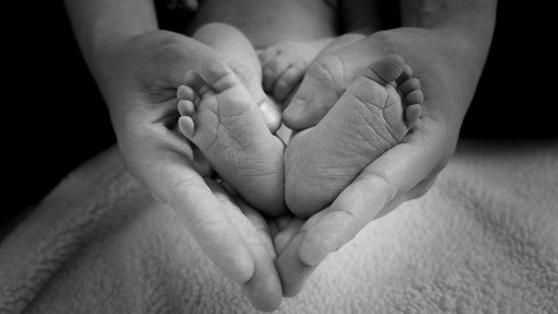 Coimbra coordena projeto para maternidade mais segura em Angola e Moçambique