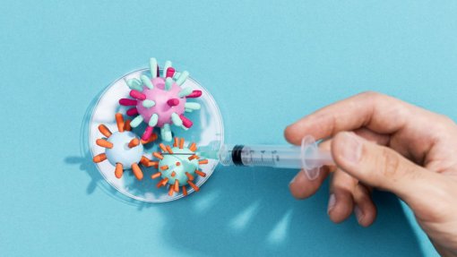 Câmara de Oliveira do Hospital apoia vigilância sanitária em explorações com ovinos
