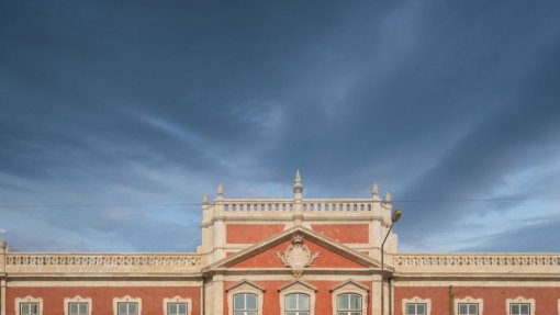 Artista Xie Lei estreou prémio de aquisição do Museu de Arte Contemporânea Armando Martins