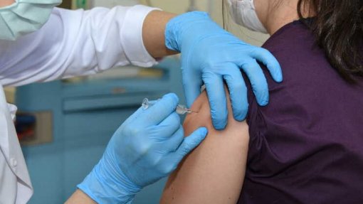 DGS alarga acesso gratuito à vacina da gripe a profissionais expostos a animais doentes