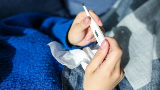 Febre aftosa detetada na Hungria e DGAV pede reforço da prevenção