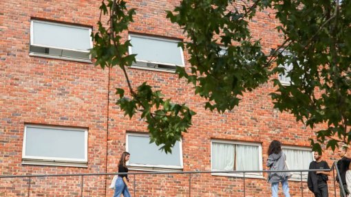 Novas terapias virais em investigação na Universidade de Aveiro