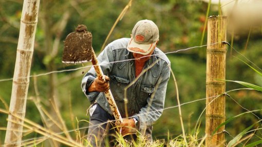 Agricultores do Alentejo dizem que apoio para língua azul é bem-vindo mas escasso