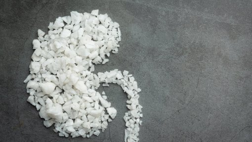 Transplante com dador vivo de rim aumenta e representou 12% da transplantação renal em 2024