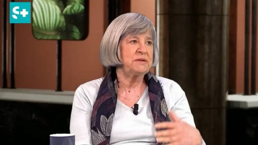 Há muito a fazer para direitos sociais não serem só uma bandeira constitucional - Helena Roseta