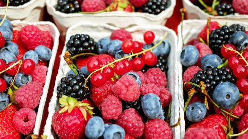 População recorre a farelo e frutos silvestres face à fome em Moçambique