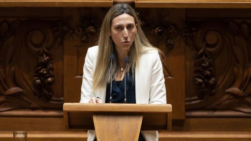 Caso gémeas: Comissão de inquérito chumba proposta de relatório elaborado por deputada do Chega