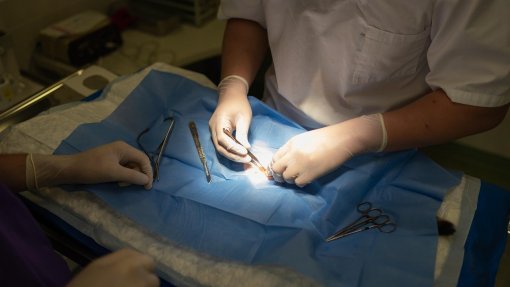 Conselho de ética contra criminalização sem exceções para casos de esterilização forçada
