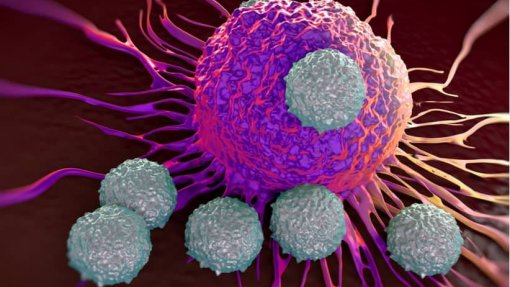 Cientistas criam bactérias modificadas para combater tumores com luz infravermelha