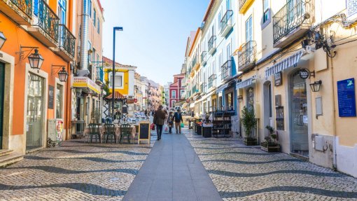 Mau tempo: Almada com 250 ocorrências, a maioria queda de árvores