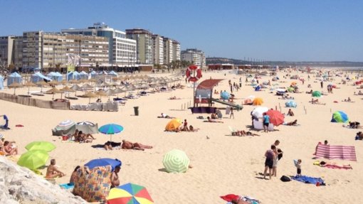 IPMA alerta para dezenas de Caravelas Portuguesas em praias desde Sintra até ao Algarve