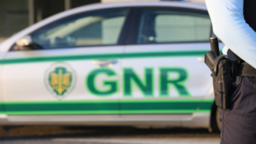 Militar da GNR mordido por cães que terão causado uma morte na Feira