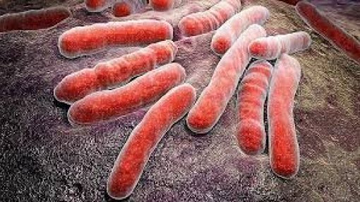 Casos de tuberculose diminuem em crianças até 5 anos e sobem nos adolescentes