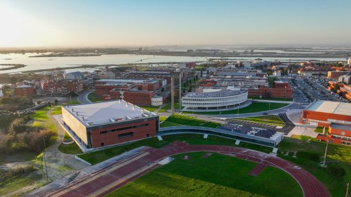 Universidade de Aveiro cria suplemento alimentar para reduzir o colestrol